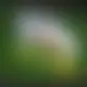 Zagraj Let It Ride z Playtech w {"id":74,"name":"AMPM Casino","design":{"logo":"ampm-casino-logo-bgAMkm.svg","favicon":"ampm-casino-favicon-qQbffq.png","banner_poker":"ampm-casino-poker-nnDSvs.webp","banner_mobile":"ampm-casino-mobile-rxGGSA.webp","block_bg_color":"#27272A","image_bg_color":"#333","banner_bg_color":"#27272a","block_text_color":"#ffffff","primary_bg_color":"#f8fafc","banner_text_color":"#fff","footer_logos_type":"black","block_round_radius":"0","primary_text_color":"#020617","button_round_radius":"0.25rem","banner_welcome_bonus":"ampm-casino-welcome-bonus-HKfOUL.webp","primary_button_bg_color":"#16a34a","primary_button_text_color":"#fff","secondary_button_bg_color":"#1e40af","secondary_button_text_color":"#fff"},"created_at":"2025-05-14T09:25:22.000000Z","updated_at":"2025-05-14T09:25:22.000000Z","deleted_at":null}